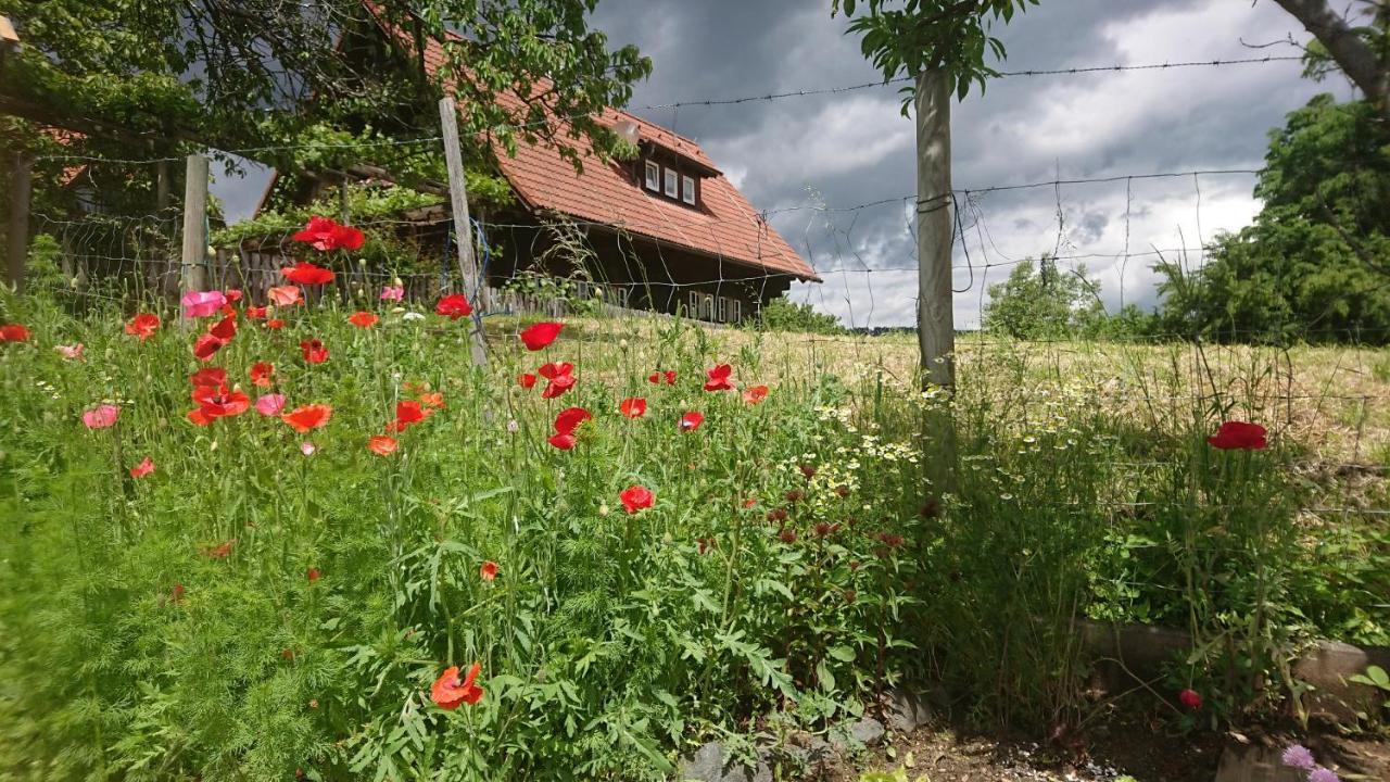 Gaestehaus Der Gamser Winzerstube Bad Gams Exterior foto
